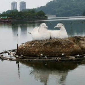 鸳鸯湖公园