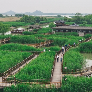 德清下渚湖