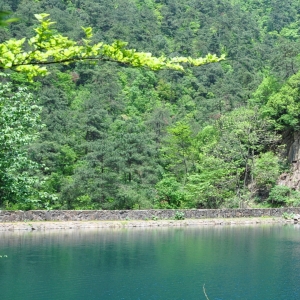 大奇山国家森林公园