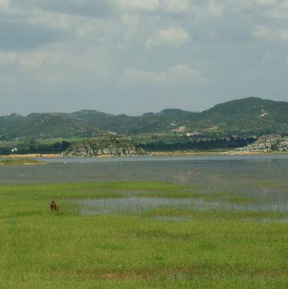 沾益海峰湿地