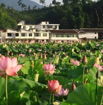 中国莲花景区