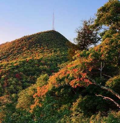 金龙山