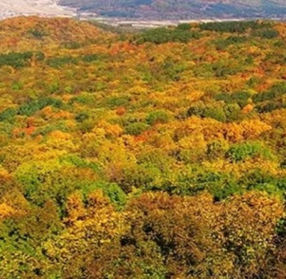 松峰山