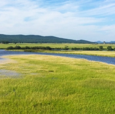 东方红湿地