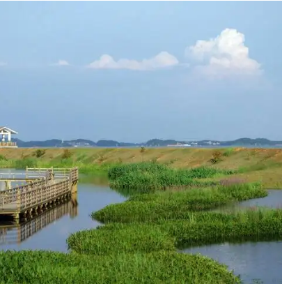 架树台湖国家湿地公园