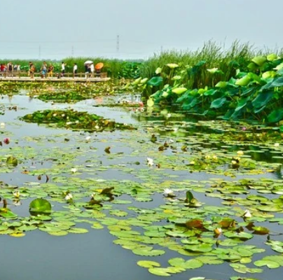 莲花湖国家城市湿地公园