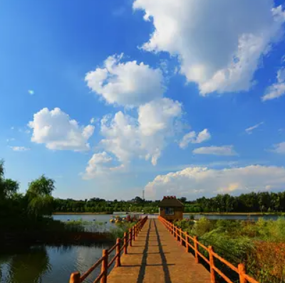 孝河国家湿地公园