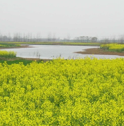 江巷水库