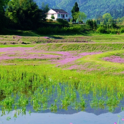 湖南龙湾国家湿地公园