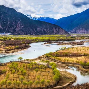 尼洋河