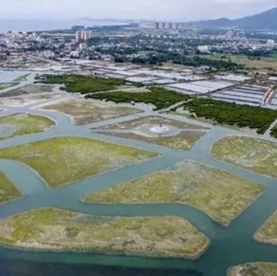 陵水红树林国家湿地公园