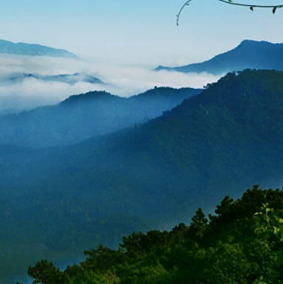 霸王岭