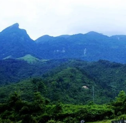 黎母山