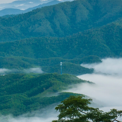 鹦哥岭