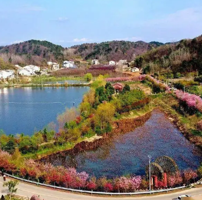 老君山村