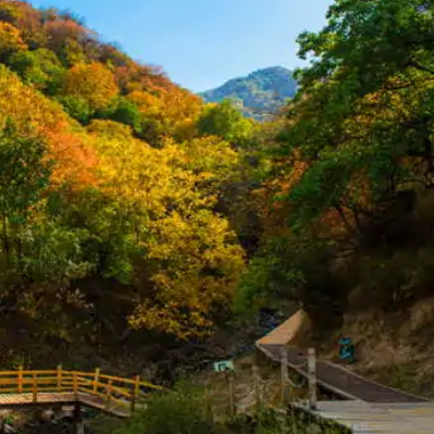 野核桃沟