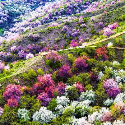 中华福寿山景区