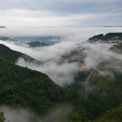 五老山森林公园