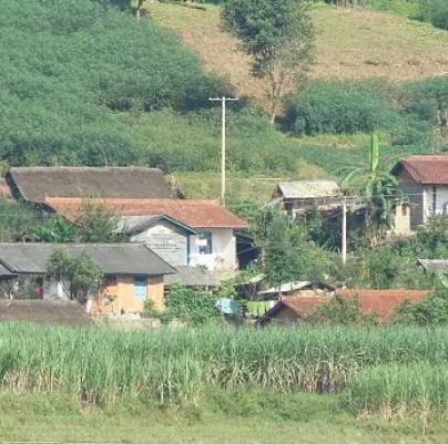 莲花村