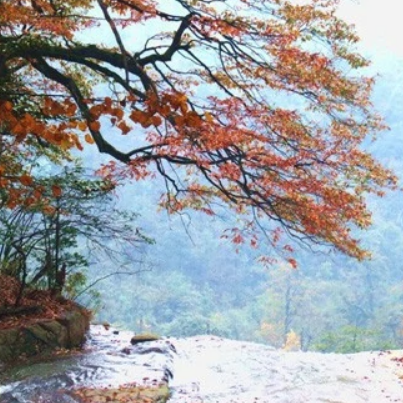 小草坝风景区