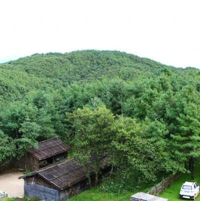 杨善洲林场景区