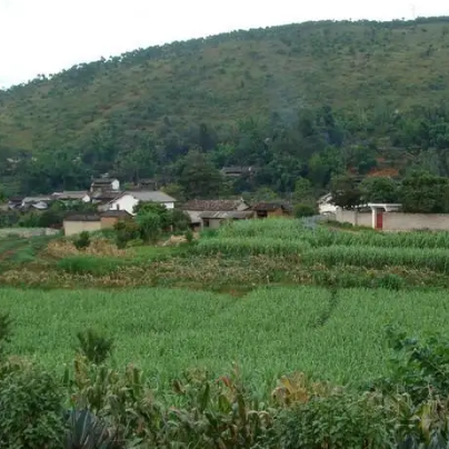 蒲缥塘子沟景区