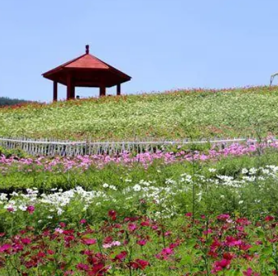 宜君花溪谷景区