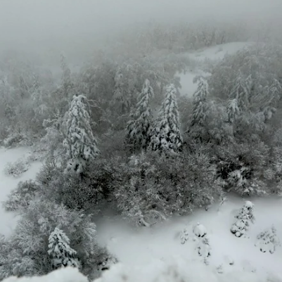 雪岭