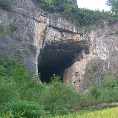 重庆大酉洞