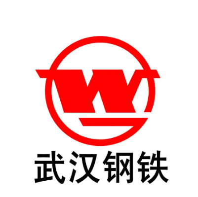 武汉钢铁(集团)公司