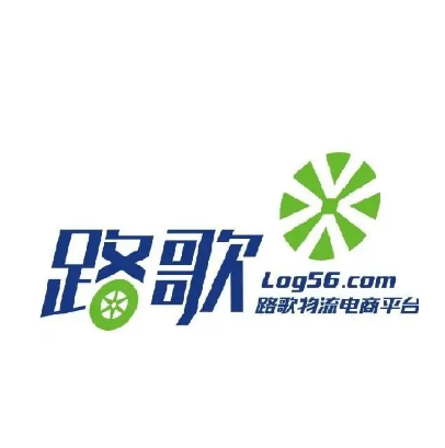 合肥维天运通信息科技股份有限公司