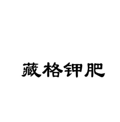 格尔木藏格钾肥有限公司