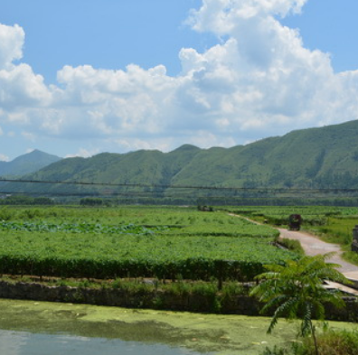 蒙山县