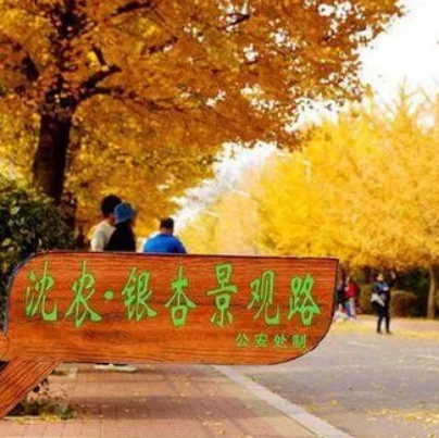 沈阳农业大学