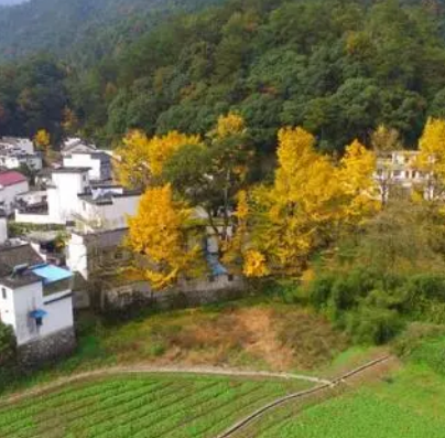 草节湾村