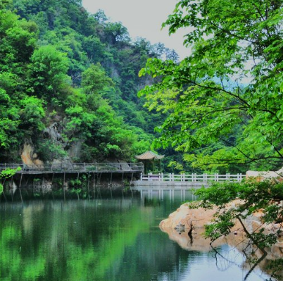 西峡银树沟