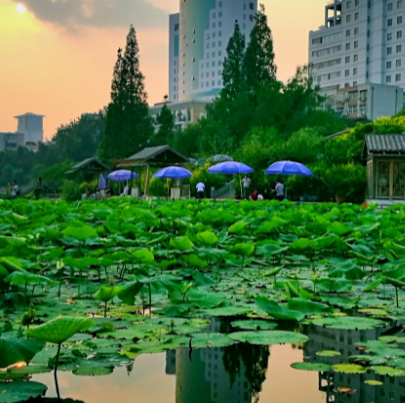 紫荆山公园