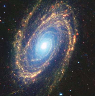 M81