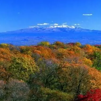 胡康谷地自然保护区