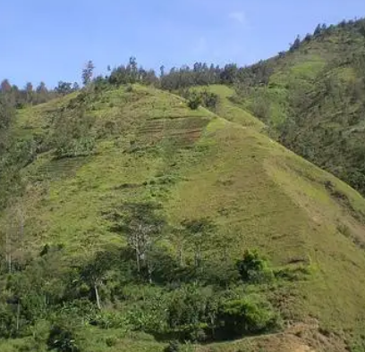 莫塔卡野生动物保护区