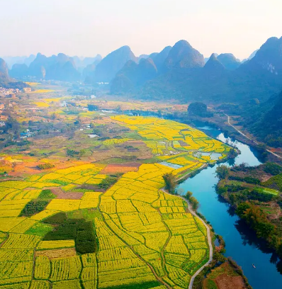 遇龙河油菜花