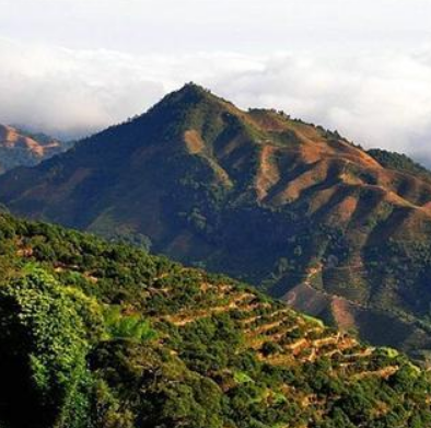 张家港凤凰山