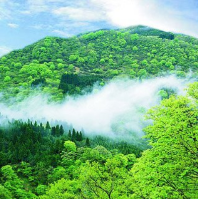 秦岭国家植物园