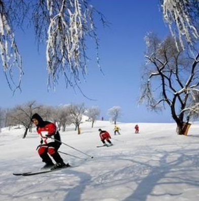 神鹿滑雪场