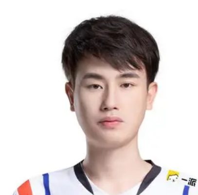 LGD大鹅伪装