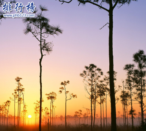 五指山热带雨林