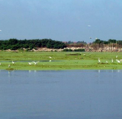 都兰阿拉克湖国家湿地公园