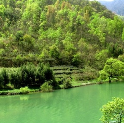 阳坝亚热带生态旅游风景区