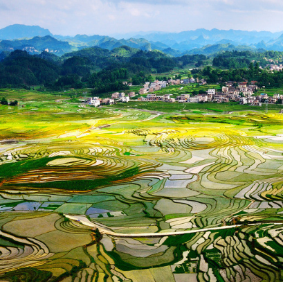 巴平梯田