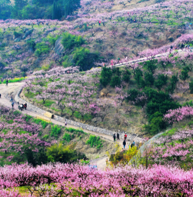 庐山桃花源